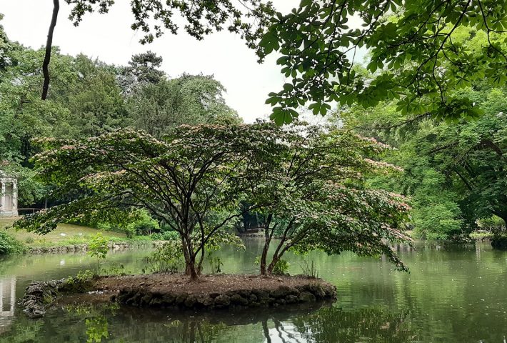 TOUR DEI GIARDINI REALE CON UN ESPERTO BOTANICO